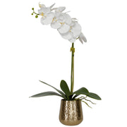 White orchid in brass pot planter by Uttermost, featuring a realistic floral arrangement in a stylish decorative container.