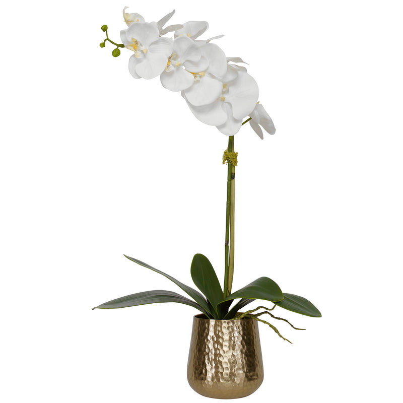 White orchid in brass pot planter by Uttermost, featuring a realistic floral arrangement in a stylish decorative container.