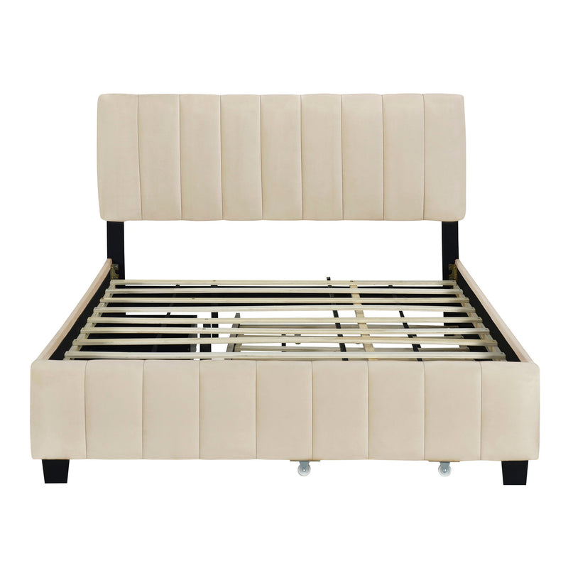 DreamHaus platform upholstered storage bed with two drawers and a twin long trundle, featuring a padded headboard and sleek design.