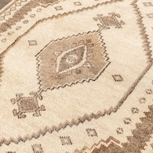 Classic Home Luxor hand-knotted area rug with intricate patterns in warm tones for elegant home décor.