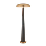 Davis - Floor Lamp - Black,Brass,Gold
