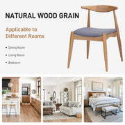 Elegant Dining Chairs With Ergonomic Backrest & Comfort Cushions (Set of 2) - R&R Furniture Gallery (Fountain Valley, CA)