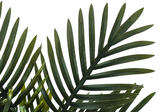 20" Tall, Artificial Plant, Palm, Indoor, Faux, Fake, Table, Greenery, Potted, Real Touch, Decorative - Green / Black - R&R Furniture Gallery (Fountain Valley, CA)