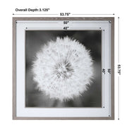 Framed black print of dandelion seedhead artwork by Uttermost, featuring delicate seed details on a neutral background.