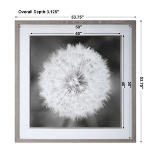 Framed black print of dandelion seedhead artwork by Uttermost, featuring delicate seed details on a neutral background.