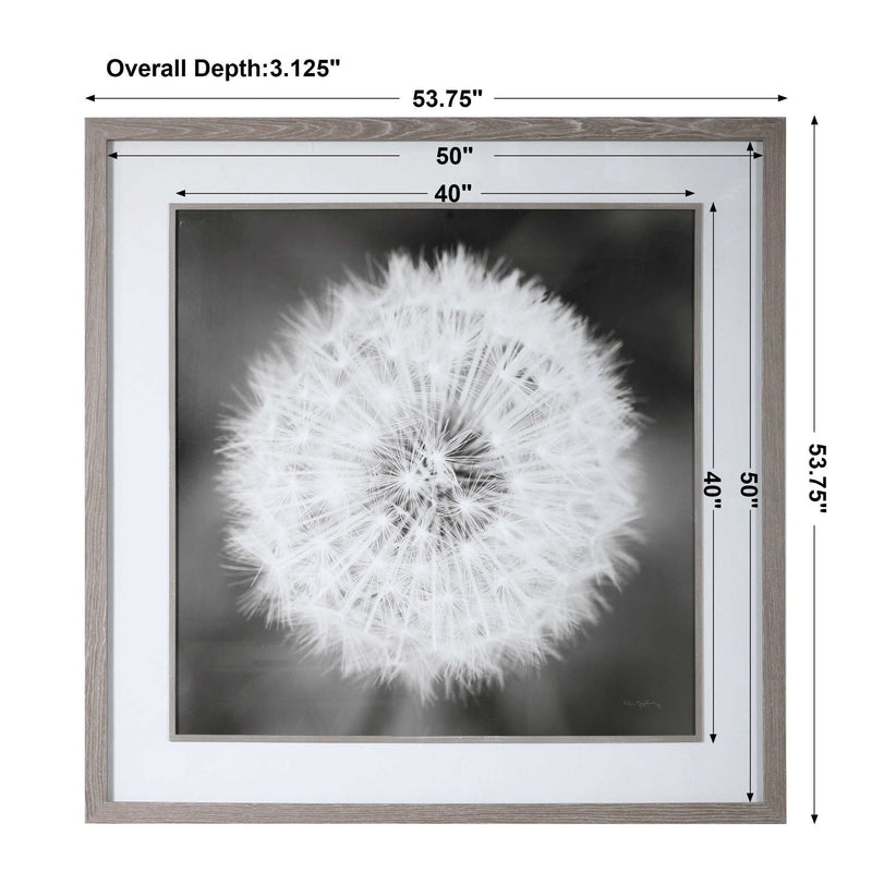 Framed black print of dandelion seedhead artwork by Uttermost, featuring delicate seed details on a neutral background.