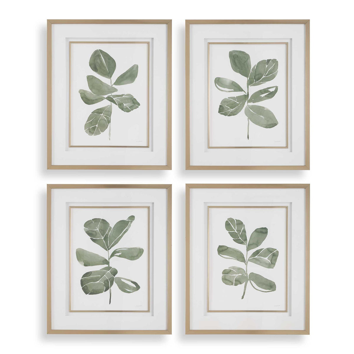 Fiddle Head - Leaf Botanical Prints (Set of 4) - Gold / Green / White