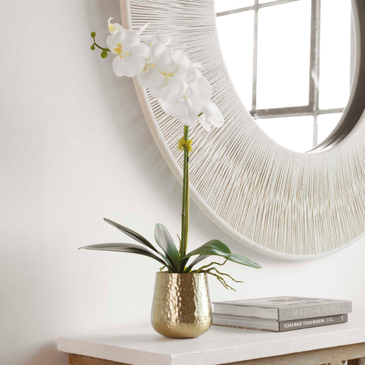 White orchid plant in a brass pot planter from Uttermost, featuring lush green leaves and delicate white blossoms.