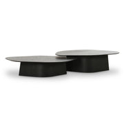 Roche - Nesting Coffee Table Set - R&R Furniture Gallery (Fountain Valley, CA)