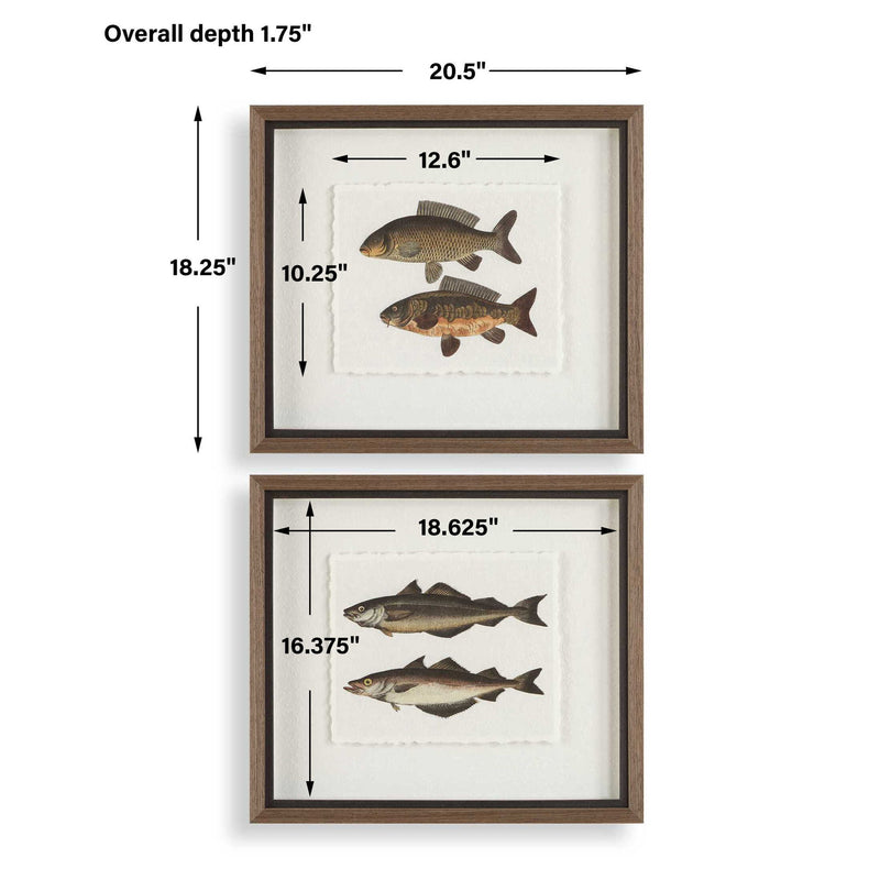 The Catch - Framed Fish Prints (Set of 2) - Black / Brown / Gray / Green / Orange / Woodtone