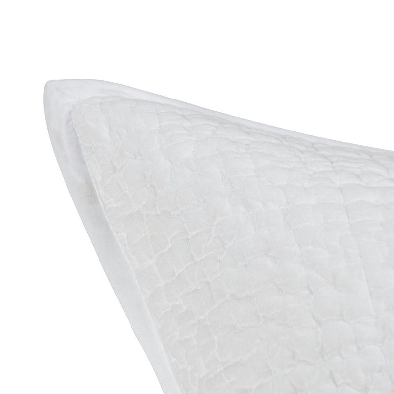 Danica - Sham - R&R Furniture Gallery (Fountain Valley, CA)