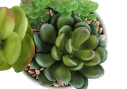 Set of 2 artificial succulent plants from 8th Street, realistic green faux plants for home decor or office display.