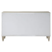 Kasa - Server - Champagne - R&R Furniture Gallery (Fountain Valley, CA)