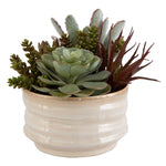 Mesa Succulent Accent - Silver