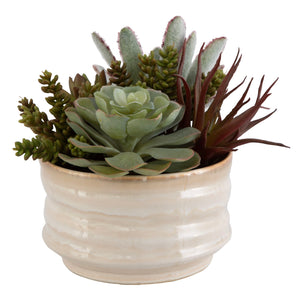 Mesa Succulent Accent - Silver