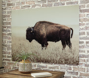 Brutus - Wall Art - Sepia - R&R Furniture Gallery (Fountain Valley, CA)