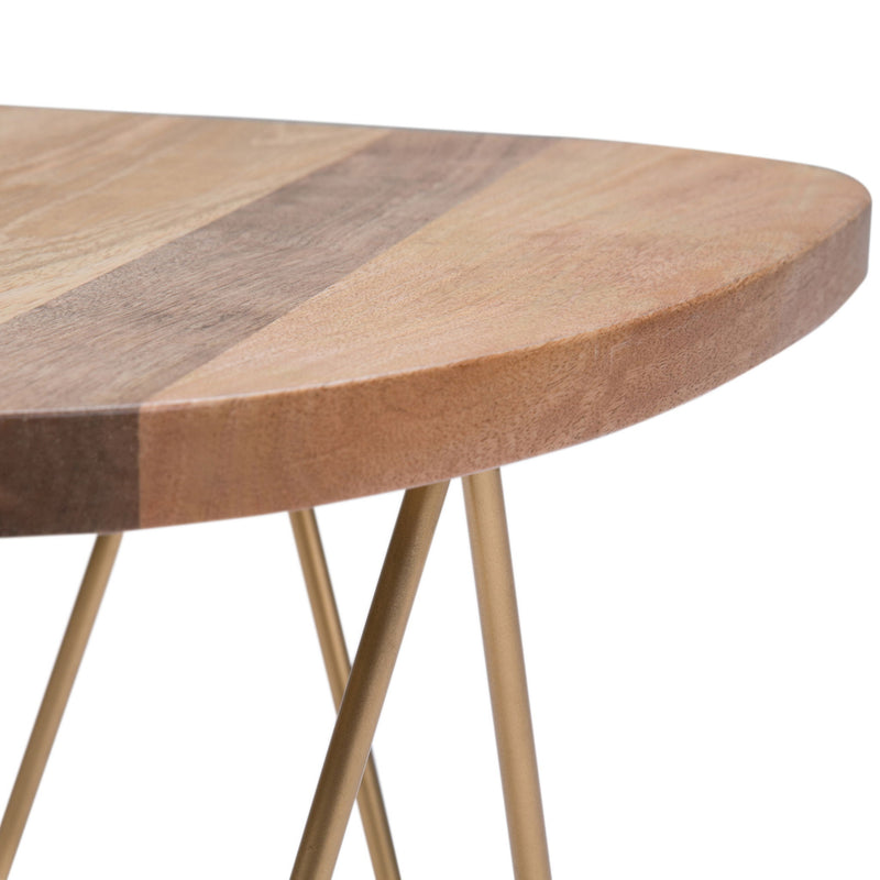 Patrice - Handcrafted Metal And Wood Accent Table - R&R Furniture Gallery (Fountain Valley, CA)