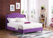 Transitional upholstered bed with a padded headboard in neutral fabric, displayed in a modern bedroom setting by Glory Furniture.