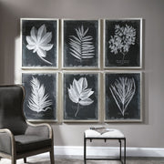 Set of six black framed foliage prints by Uttermost, featuring botanical artwork on white backgrounds for wall decor.