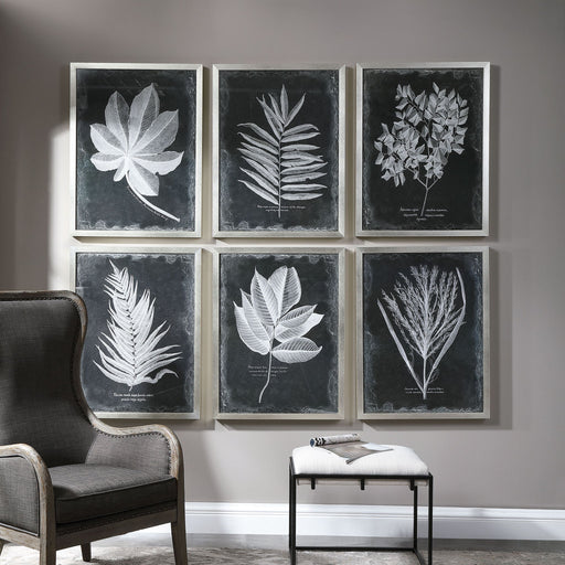 Set of six black framed foliage prints by Uttermost, featuring botanical artwork on white backgrounds for wall decor.
