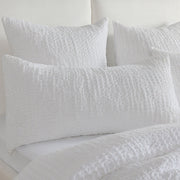 Colmar - Sham - R&R Furniture Gallery (Fountain Valley, CA)