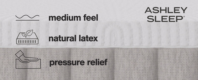 Terra Sleep Medium - Mattress - R&R Furniture Gallery (Fountain Valley, CA)