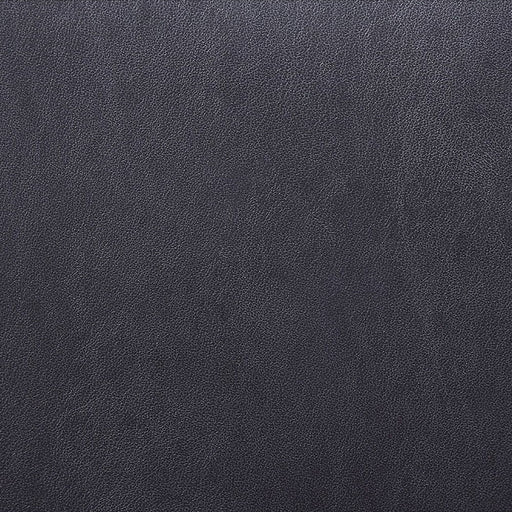 Fabiola - Side Chair (Set of 2) - Black Fabric & Stainless Steel - R&R Furniture Gallery (Fountain Valley, CA)