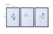 Set of three framed watercolor sage prints by Uttermost, featuring white backgrounds and elegant botanical artwork.
