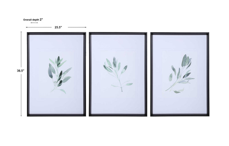 Set of three framed watercolor sage prints by Uttermost, featuring white backgrounds and elegant botanical artwork.