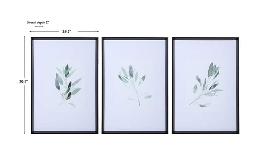 Set of three framed watercolor sage prints by Uttermost, featuring white backgrounds and elegant botanical artwork.