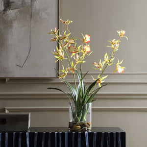 Spider - Orchid In Glass Vase - Green,Pink,Yellow