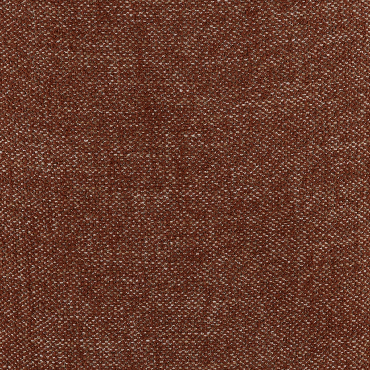 Desi - Dining Chair - Lola Russet