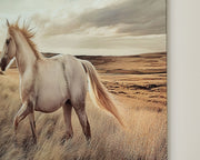 Errolville - Wall Art - Multi - R&R Furniture Gallery (Fountain Valley, CA)