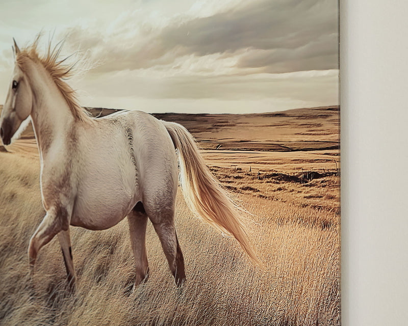 Errolville - Wall Art - Multi - R&R Furniture Gallery (Fountain Valley, CA)