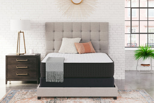 Limited Edition Firm - Mattress - R&R Furniture Gallery (Fountain Valley, CA)
