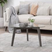 Noble House modern coffee table with wood construction and compact design, featuring a sleek, minimalist style for living room decor.