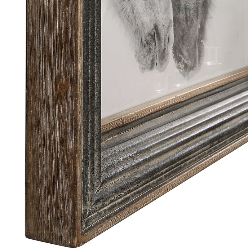 Framed print of black and white horses with a dark brown background by Uttermost, showcasing detailed horse artwork.