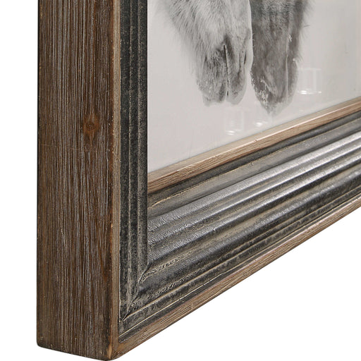 Framed print of black and white horses with a dark brown background by Uttermost, showcasing detailed horse artwork.