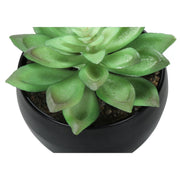 Set of 3 artificial succulent plants from 8th Street, featuring realistic green succulents in decorative pots.