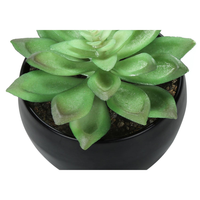 Set of 3 artificial succulent plants from 8th Street, featuring realistic green succulents in decorative pots.