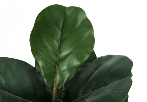 49" Tall, Artificial Plant, Fiddle Tree, Indoor, Faux, Fake, Floor, Greenery, Potted, Real Touch, Decorative - Green / Black - R&R Furniture Gallery (Fountain Valley, CA)