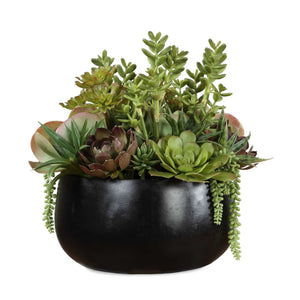 Mico - Indoor-Outdoor Succulent Centerpiece - Black,Green