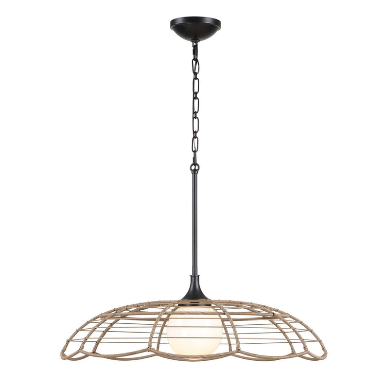 Lakeside - Indoor-Outdoor 1 Light Pendant - Black