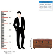 Buffalo - Storage Trunk - R&R Furniture Gallery (Fountain Valley, CA)