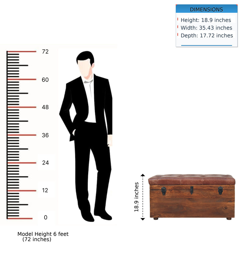 Buffalo - Storage Trunk - R&R Furniture Gallery (Fountain Valley, CA)
