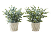 13" Tall, Artificial Plant, Eucalyptus Grass, Indoor, Faux, Fake, Table, Greenery, Potted, Decorative (Set of 2) - Green / White - R&R Furniture Gallery (Fountain Valley, CA)