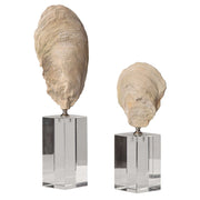 Set of two beige oyster shell sculptures by Uttermost, detailed marine-inspired figurines for home decor.