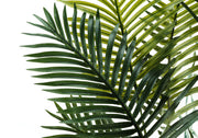 57" Tall, Artificial Plant, Palm Tree, Indoor, Faux, Fake, Floor, Greenery, Potted, Real Touch, Decorative - Green / Black - R&R Furniture Gallery (Fountain Valley, CA)