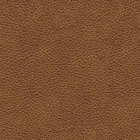 Carianna - Queen Sofa Sleeper - Caramel - R&R Furniture Gallery (Fountain Valley, CA)