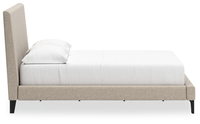 Cielden - Upholstered Bed With Roll Slats - R&R Furniture Gallery (Fountain Valley, CA)